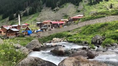 Elevit Yaylası (Çamlıhemşin / Rize / Türkiye)