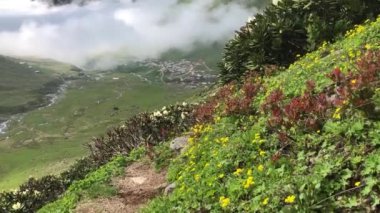 Avusor Platosu ve Kackar Dağları mavi bulutlu gökyüzü arkaplanıyla