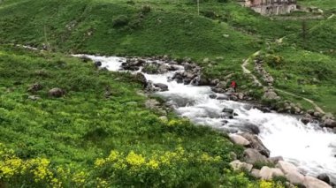 Kackar Dağları Ulusal Park Elevit Platosu