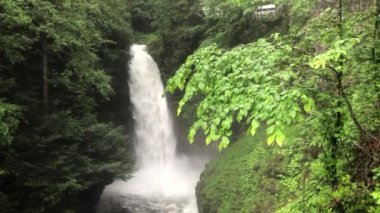 Camlihemsin 'deki Palovit Şelalesi Türkiye' yi Rize
