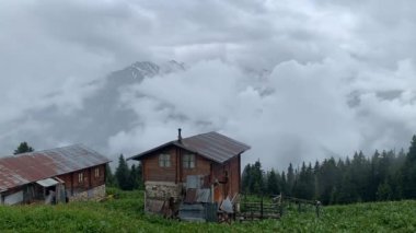 Pokut Platosu Rize Camlihemsin, Pokut Platosu Karadeniz ve Türkiye. Rize, Türkiye.