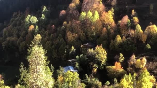 Jesienny Sezon Savsat Artvin Turcja — Wideo stockowe