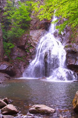 Türkiye'nin şelaleleri ve nehirleri. Erikli şelalesi, Çınarcık, Yalova, Türkiye