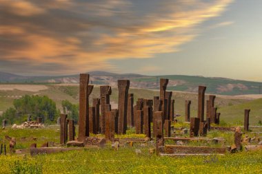 Antik Selcuk Türkleri mezarlığı, Ahlat, Türkiye. Malazgirt savaşında ölen askerler için mezar taşı anıtları. UNESCO Dünya Mirasları Geçici Listesi