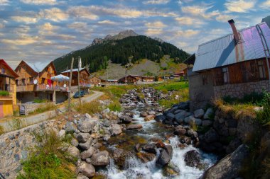 Elevit Yaylası (Çamlıhemşin / Rize / Türkiye)