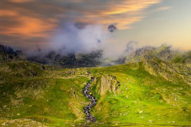 Elevit Yaylası (Çamlıhemşin / Rize / Türkiye)