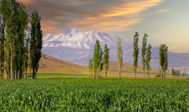 Türkiye 'nin en büyük ikinci dağı olan erciyes' in olağanüstü manzarası