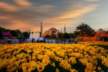 İstanbul, Türkiye 'de Ayasofya manzarası çok güzel