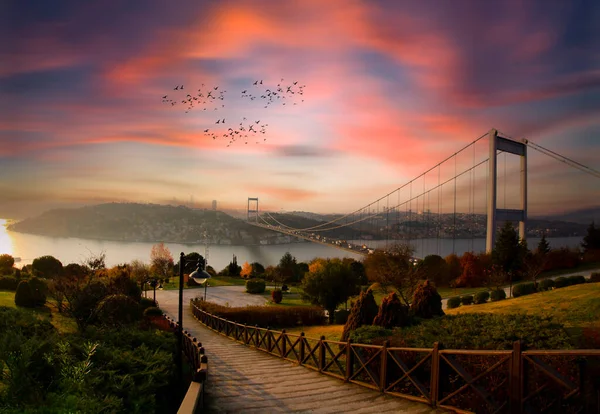 Вид Мост Фатиха Султана Мехмета Парка Отагтепе Стамбуле — стоковое фото