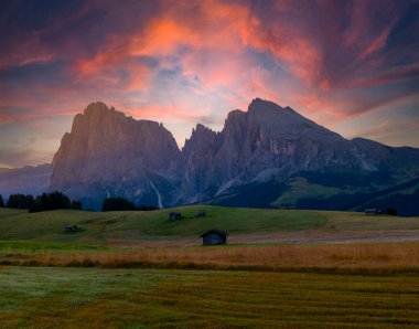 Alpe di Siusi veya Seiser Alm, Dolomites Alps Sassolungo ve Sassopiatto dağları, Trentino Alto Adige Sud Tyrol, İtalya, Avrupa