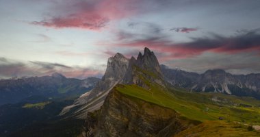 Seceda zirvesinde harika bir manzara. Trentino Alto Adige, Dolomites Alps, Güney Tyrol, İtalya, Avrupa. Odle dağ sırası, Val Gardena. Majestic Furchetta zirvesi. Sabah güneşinde mor çiçekler.