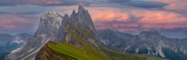 Seceda zirvesinde harika bir manzara. Trentino Alto Adige, Dolomites Alps, Güney Tyrol, İtalya, Avrupa. Odle dağ sırası, Val Gardena. Majestic Furchetta zirvesi. Sabah güneşinde mor çiçekler.