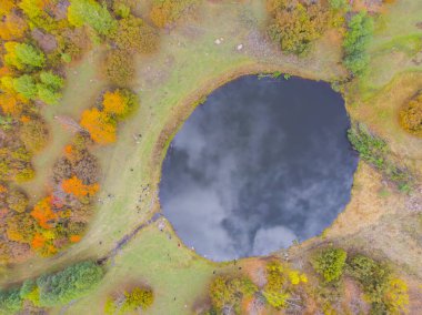 Savsat 'ta sonbahar manzarası. Artvin, Türkiye. Renkli ağaçlarla dolu güzel bir sonbahar manzarası. Hava aracı atışı. (Yukari Koyunlu, Sules, Rutav Gölü).