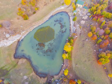 Savsat 'ta sonbahar manzarası. Artvin, Türkiye. Renkli ağaçlarla dolu güzel bir sonbahar manzarası. Bazgiret Maden Köyü ve Lake. Hava aracı görüntüsü.