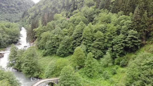 Góry Kackar Park Narodowy Stare Kamienne Mosty Widok Góry Kackar — Wideo stockowe
