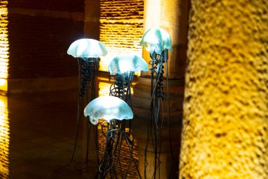 Bazilika Sarnıcı - İmparator Justinianus 'un altıncı yüzyılda inşa ettiği yeraltı su deposu, İstanbul, Türkiye