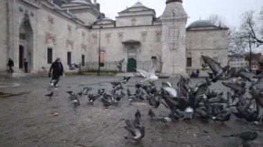 İstanbul Üniversitesi, Fatih ilçesine bağlı bir devlet üniversitesidir. 1933 yılında Türkiye 'nin ilk üniversitesi olarak eğitim hayatına başladı..