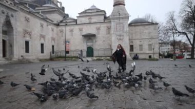 İstanbul Üniversitesi, Fatih ilçesine bağlı bir devlet üniversitesidir. 1933 yılında Türkiye 'nin ilk üniversitesi olarak eğitim hayatına başladı..