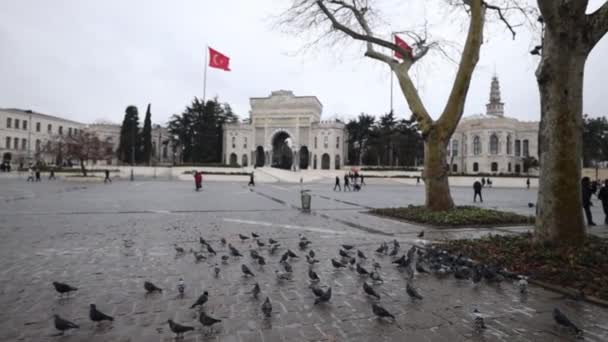 Universitas Istanbul Adalah Universitas Negeri Yang Terletak Distrik Fatih Pada — Stok Video