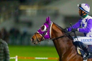 Riders compete in a run in Istanbul Horce Race, Veliefendi racetrack. clipart