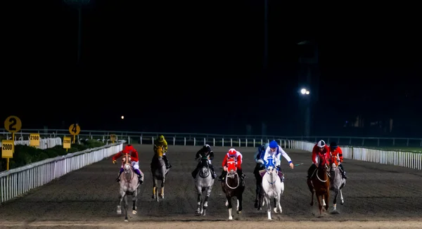 Гонщики Соревнуются Забеге Стамбуле Horce Race Veliefendi Ипподроме — стоковое фото
