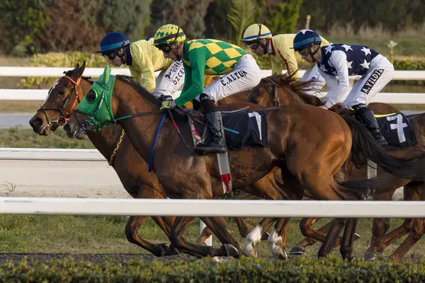 Pilotos Competem Corrida Cavalos Istambul Veliefendi Race Track — Fotografia de Stock