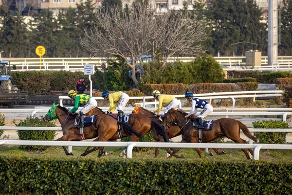 Ruiters Nemen Deel Aan Istanbul Horse Race Veliefendi Race Track — Stockfoto