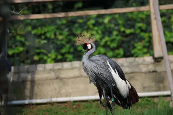 One of Turkey\'s largest zoos, animals are resting, visitors have a great experience.
