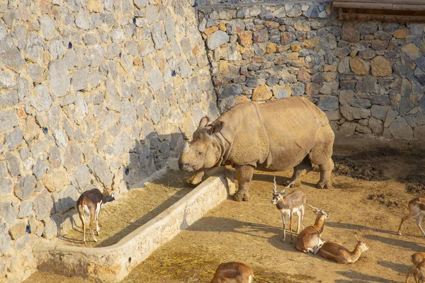 One of Turkey\'s largest zoos, animals are resting, visitors have a great experience.