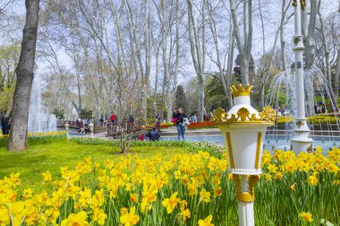 Lale festivali her yıl Glhane Park 'ta coşkuyla kutlanır..