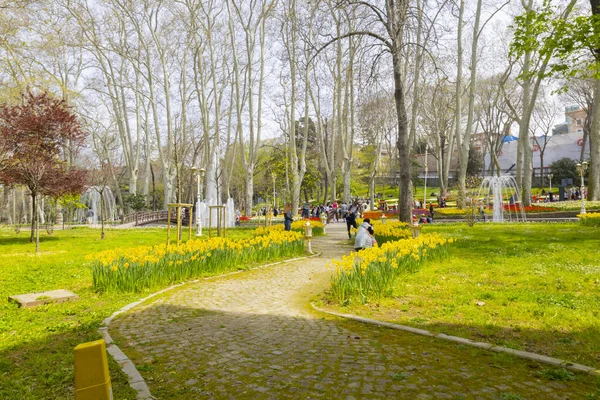 Festiwal Tulipanów Obchodzony Jest Roku Entuzjazmem Glhane Park — Zdjęcie stockowe