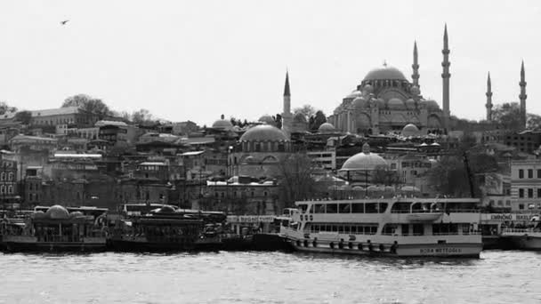 Самые Известные Исторические Символы Стамбула Посещение Трестов — стоковое видео