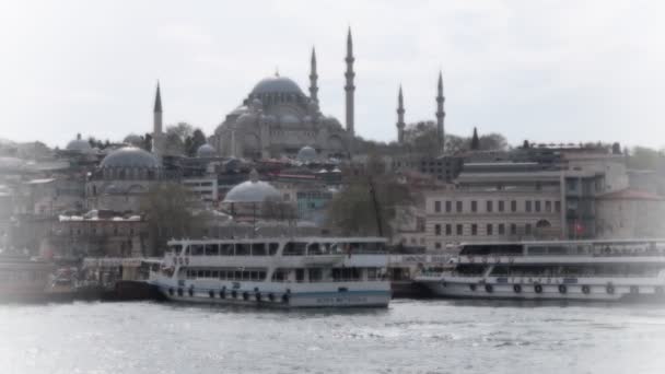 Istanbul Most Well Known Historical Symbols Visiting Trusts — Stock Video