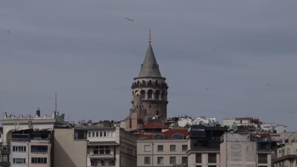 Istanbulské Nejznámější Historické Symboly Hostující Trusty — Stock video