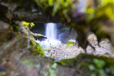 Delikaya Şelalesi kayaların arasından akan sudan oluşan harika bir şelaledir..