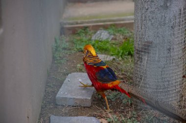 Darca Faruk Yalçın Hayvanat Bahçesi Türkiye 'nin en doğal parkında bir günlük benzersiz bir deneyim!