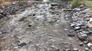 Artvin Murgul Delikli Kaya Şelalesi 