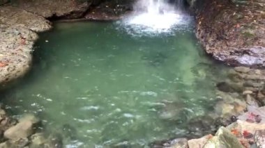 Artvin Murgul Delikli Kaya Şelalesi 