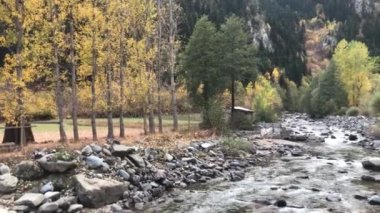 Artvin Murgul Delikli Kaya Şelalesi 