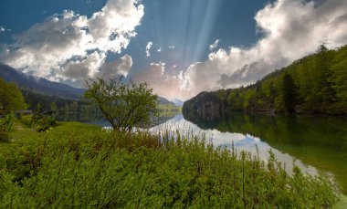 Popüler Alpsee Gölü 'nün güzel panoramik manzarası