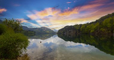 Popüler Alpsee Gölü 'nün güzel panoramik manzarası