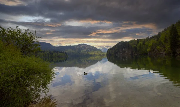 Popüler Alpsee Gölü 'nün güzel panoramik manzarası