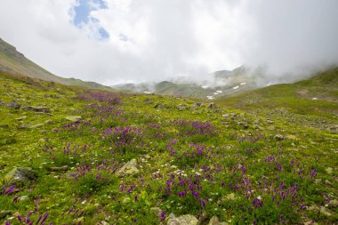 Ambarli Platosu ve Balık Gölü