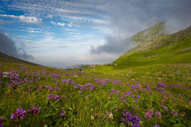 Ambarli Platosu ve Balık Gölü