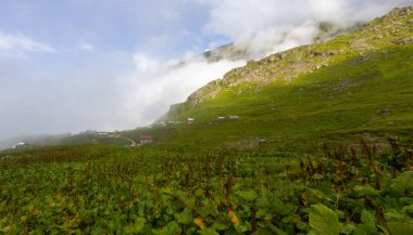 Ambarli Platosu ve Balık Gölü