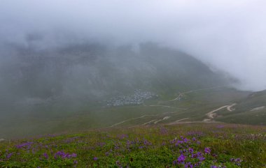 Amlakit Platosu Kakar Dağları Ulusal Parkı