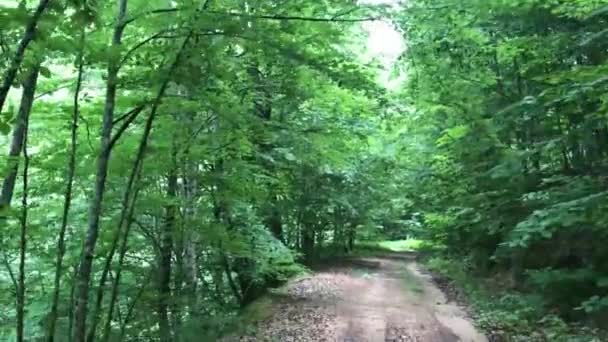 Kravice Vattenfall Bosnien Och Hercegovina Natur Resor Bakgrund — Stockvideo