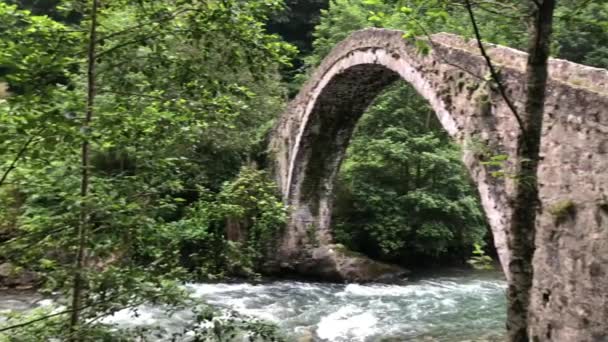 Old Stone Arched Bridge Two Waterfalls Palaiokaria Trikala Prefecture Thessaly — Stockvideo