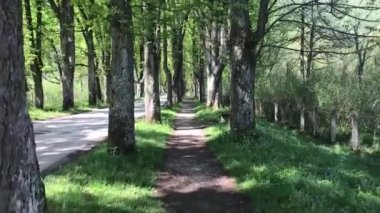 Saraybosna 'daki Vrelo Bosne doğa yeşil parkı