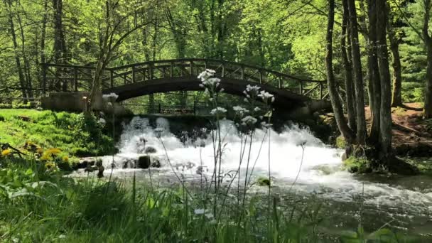 Vrelo Bosne Naturpark Sarajevo Med Vatten — Stockvideo
